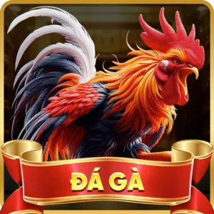 Game Show Trực tiếp độc đáo