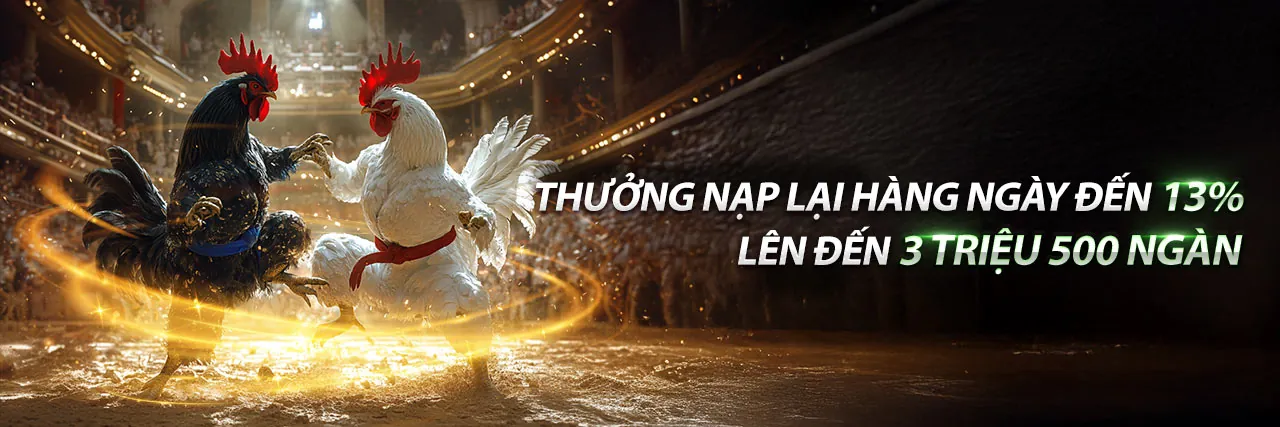 Đá Gà Trực Tuyến Sôi Động tại 8kbe Đăng Ký
